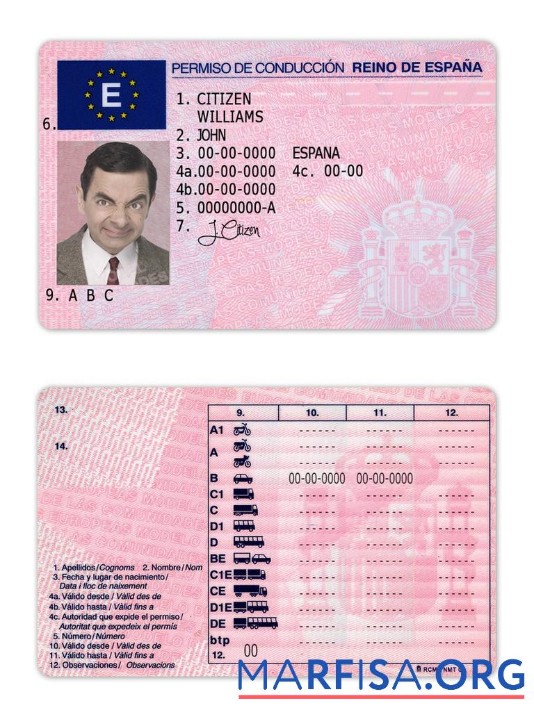 Downloadable Spain driving license sample